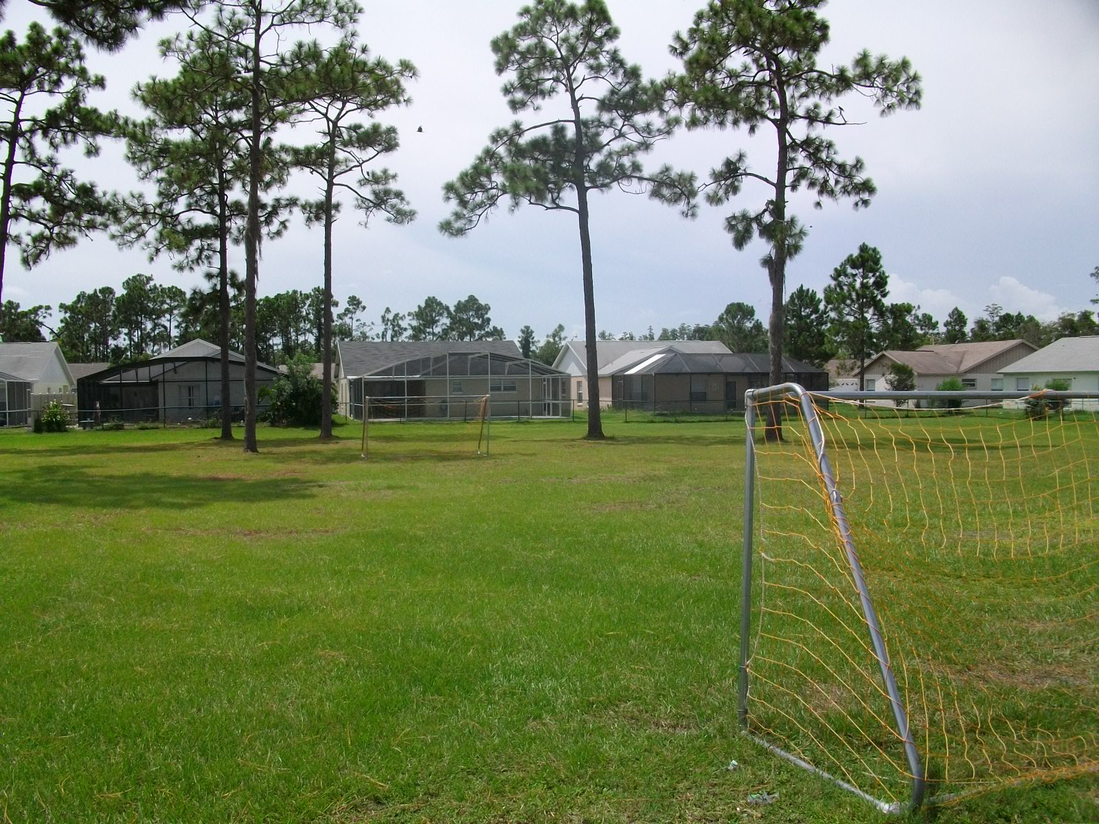 soccer field soccer field