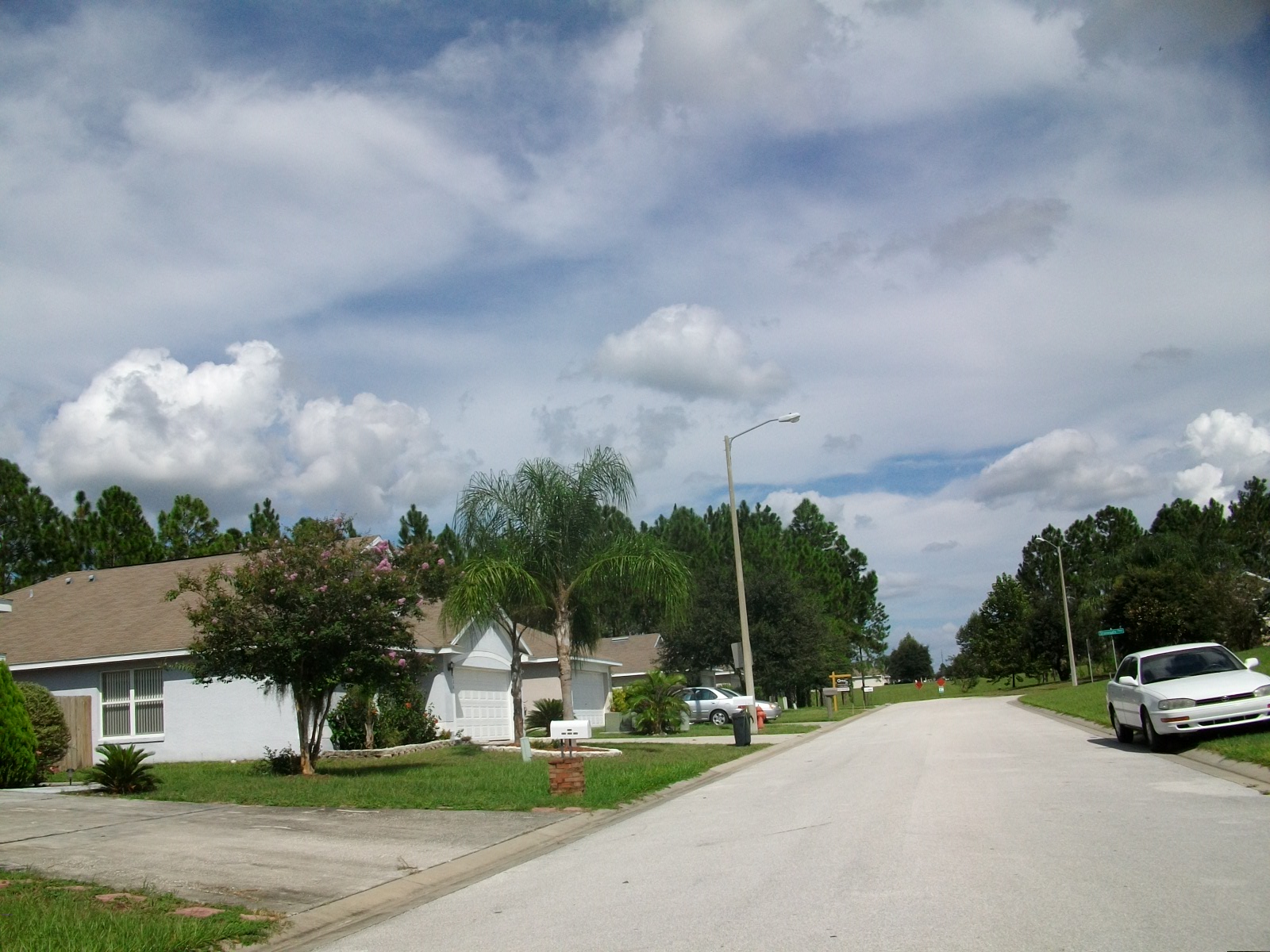 Florida Pines Davenport Fl