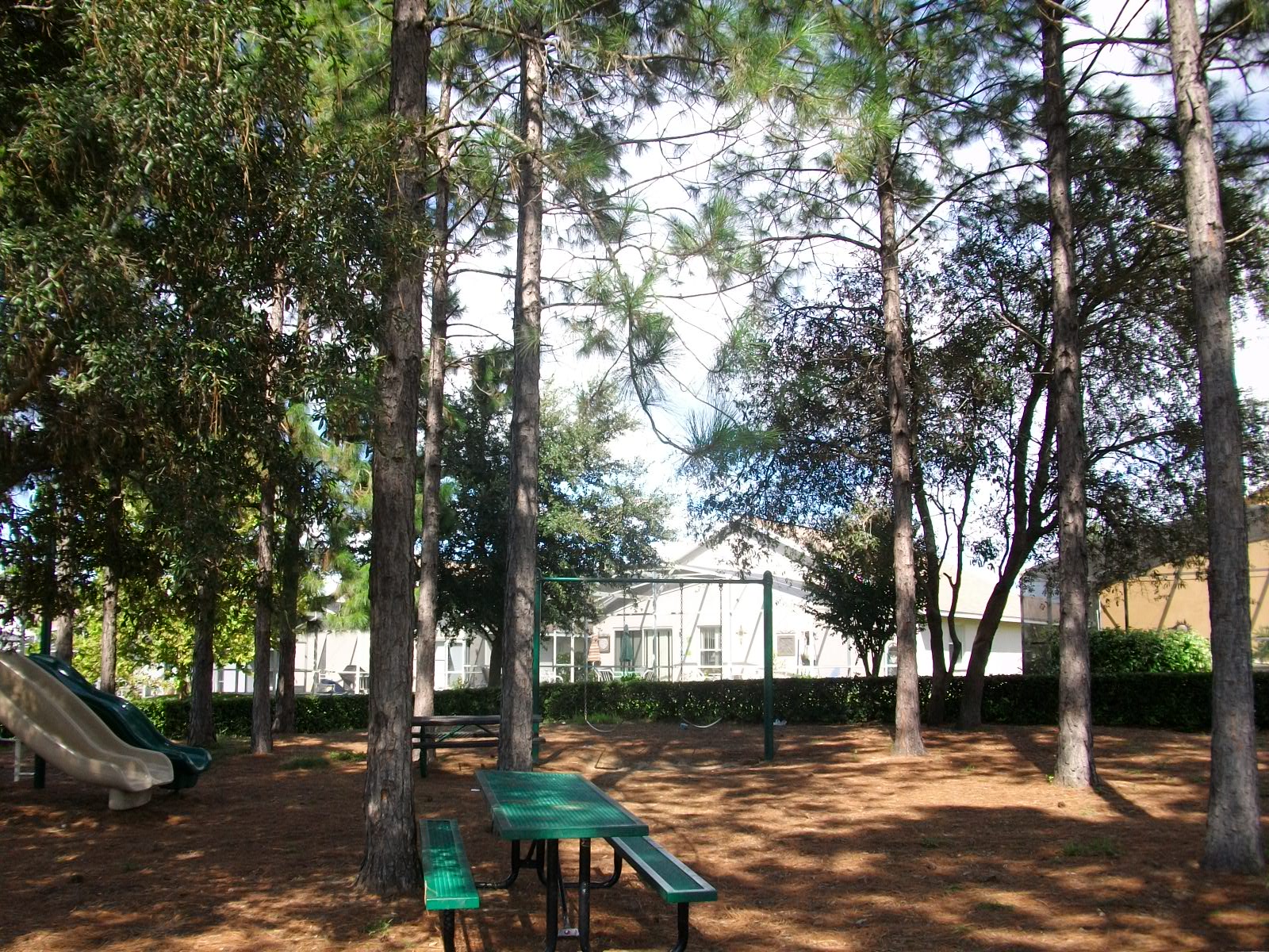 Florida Pines Davenport Fl