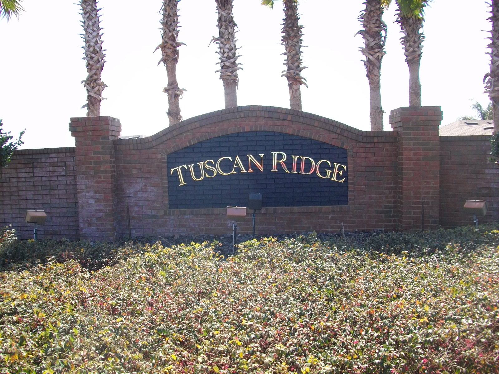 Tuscan Ridge Davenport Florida