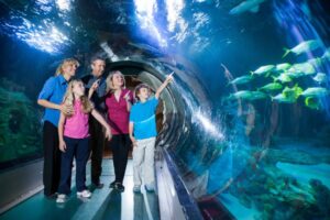 sea life aquarium Orlando Florida