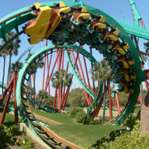 Busch Gardens Tampa Day Trip From Orlando